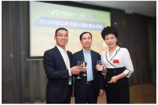 營收創新高，波司登羽絨服一改低調，王者歸來引領羽絨制品加工